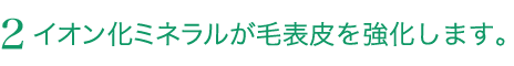 イオン化ミネラルが毛表皮を強化します。