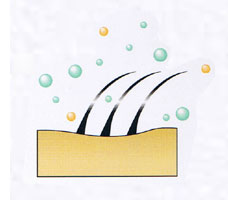 植物のエキスやエッセンスオイルは毛表皮を調整