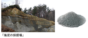 �C�D�̍̌@��