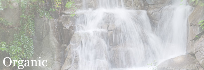 �I�[�K�j�b�N�ȃw�A�P�A�p�i�Љ�