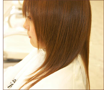 �u���܂����A�L�΂��v���R���Z�v�g�ɍl�������ꂽ�A�~�m�_�k�ы���