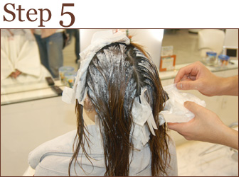 �k�ы����̒��ԃ����X