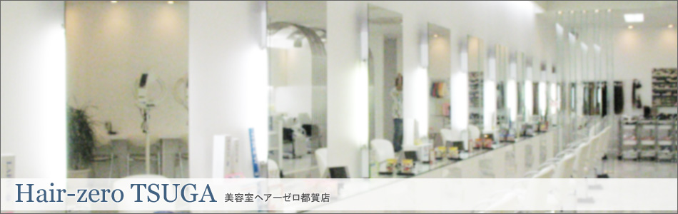 �w�A�[�[���iZERO�j�F�s��X�Љ�